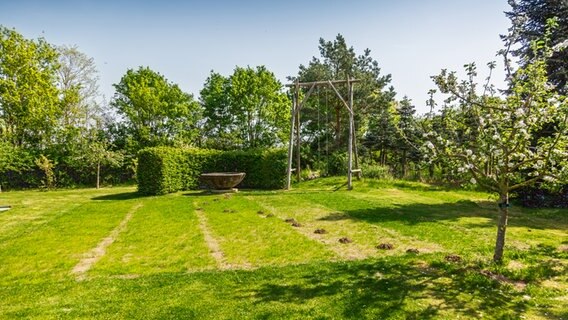 Eine große Rasenfläche mit Maulwurfshügeln © NDR Foto: Udo Tanske